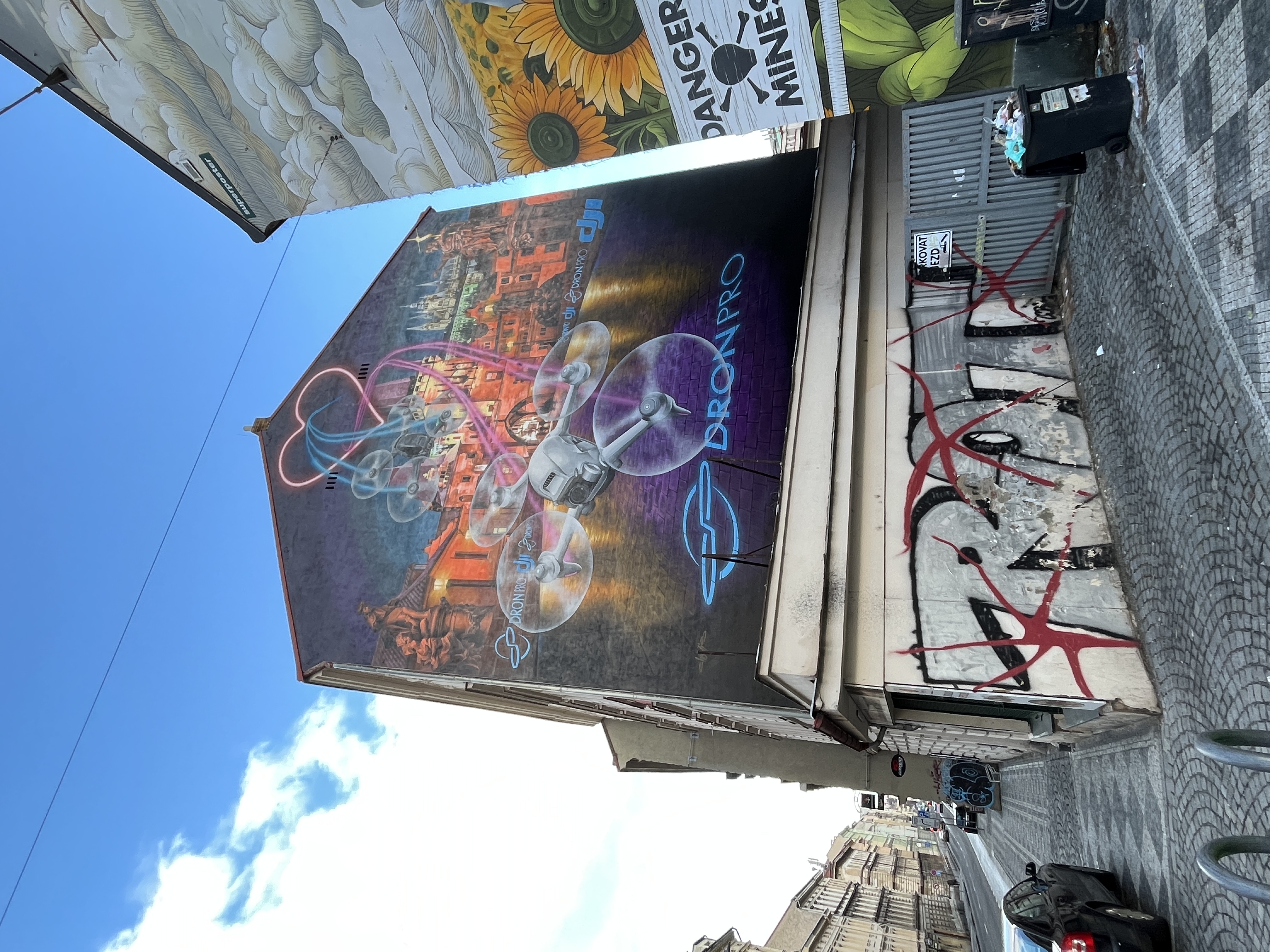 DronPro Mural